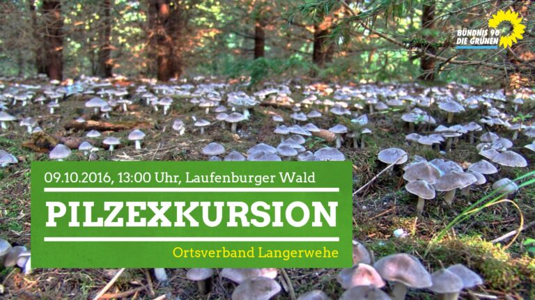 Pilzexkursion im Laufenburger Wald