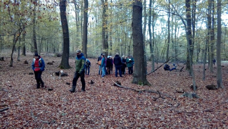 Pilzexkursion im Langerweher Wald