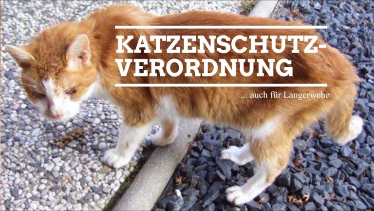 Katzenschutzverordnung für Langerwehe