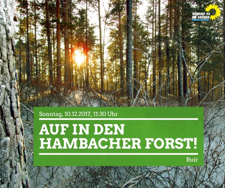 Einladung zum solidarischen Waldspaziergang im Hambacher Forst