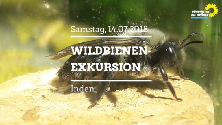 2. Wildbienen-Exkursion in Inden