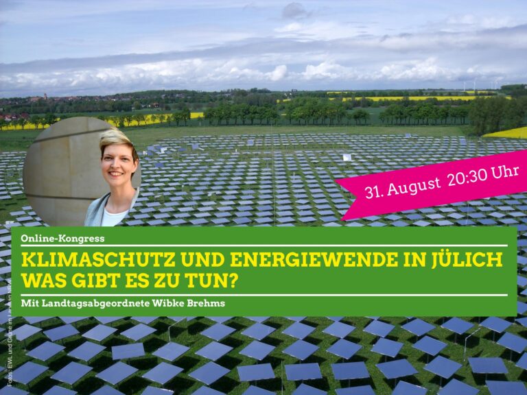 Energiewende in Jülich – Webinar mit Wibke Brems