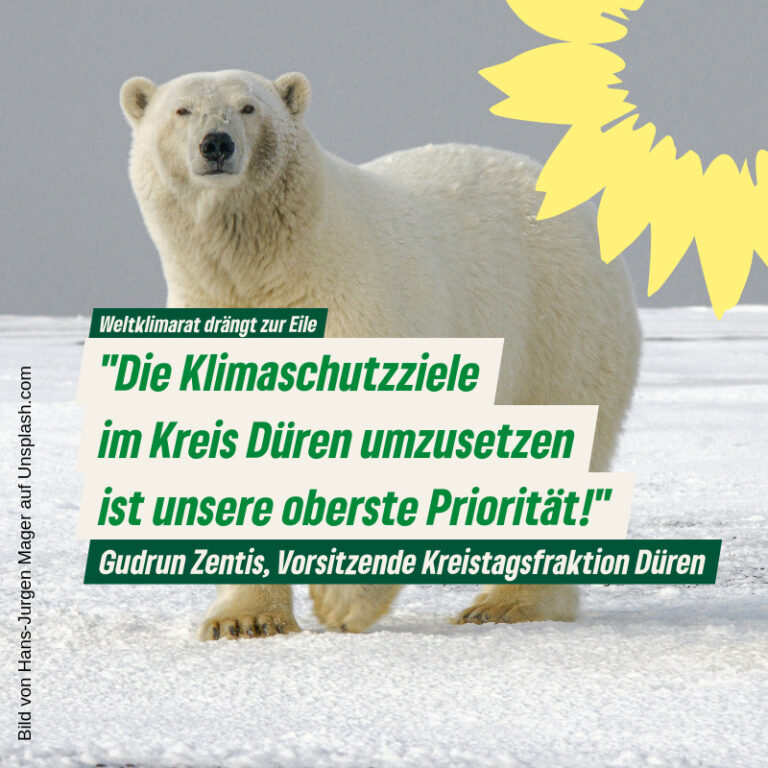 Klimaschutz auf allen Ebenen voranbringen