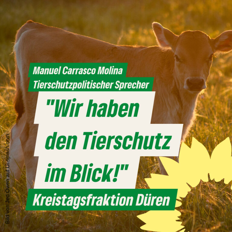 Tierschutz beachten. Missstände bekämpfen.