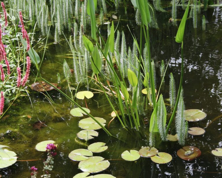 „Jede Initiative für den Natur- und Artenschutz zählt“