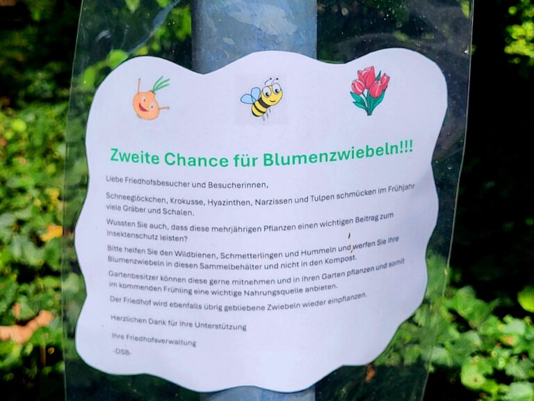 Blumenzwiebeln retten