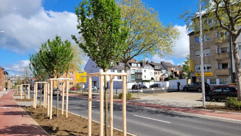 Baumpflanzungen Euskirchener Straße abgeschlossen