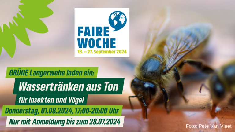 Wassertränken für Insekten und Vögel