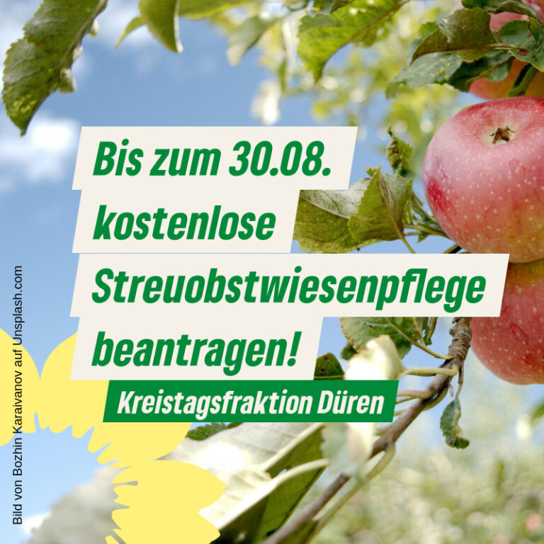 Streuobstwiesenpflege