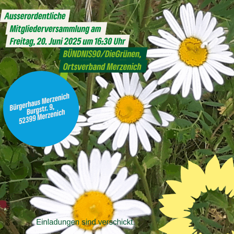 Ausserordentliche Mitgliederversammlung