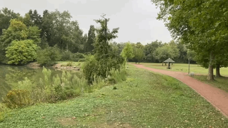 🌿 Unser Teich im Freizeitpark – ein Schatz für Natur & Artenvielfalt und Erholung der Bürger! 🌿