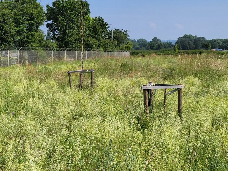 Anfrage zu Ausgleichsmaßnahmen