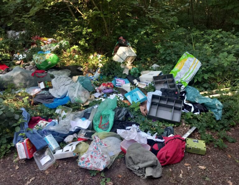 Im Kampf gegen „wilden Müll“ in Düren: Bußgelder werden erhöht