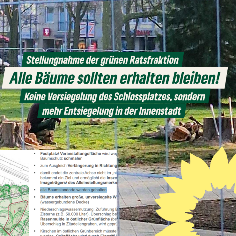 Was ist auf dem Schlossplatz geplant?