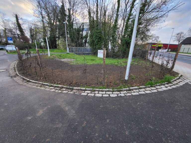 Erfolgreicher Antrag: Parken am Rurbad