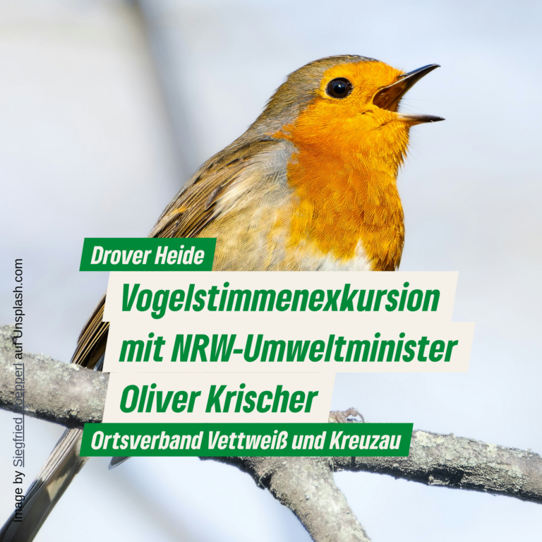 Vogelstimmenexkursion in der Drover Heide